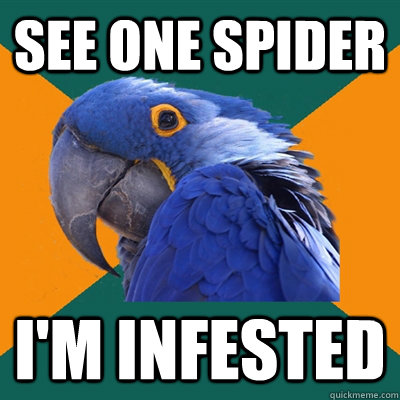 See one spider I'm Infested   Paranoid Parrot
