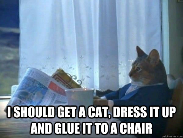  I should get a cat, dress it up and glue it to a chair -  I should get a cat, dress it up and glue it to a chair  Misc