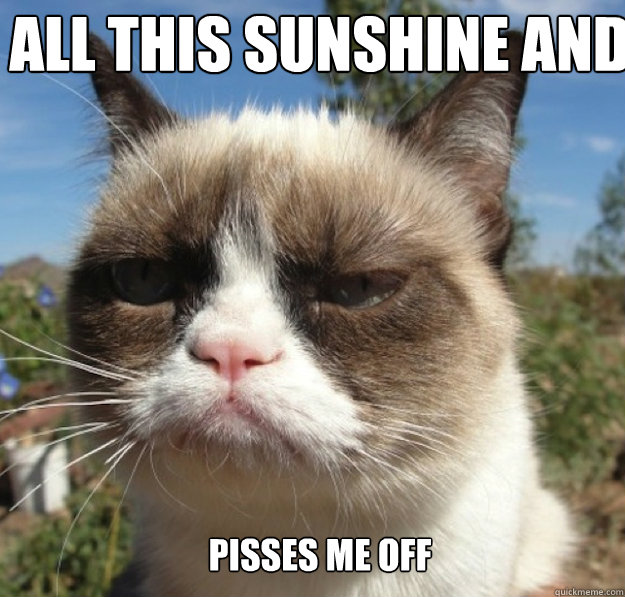All this sunshine and warm weather pisses me off - All this sunshine and warm weather pisses me off  Misc