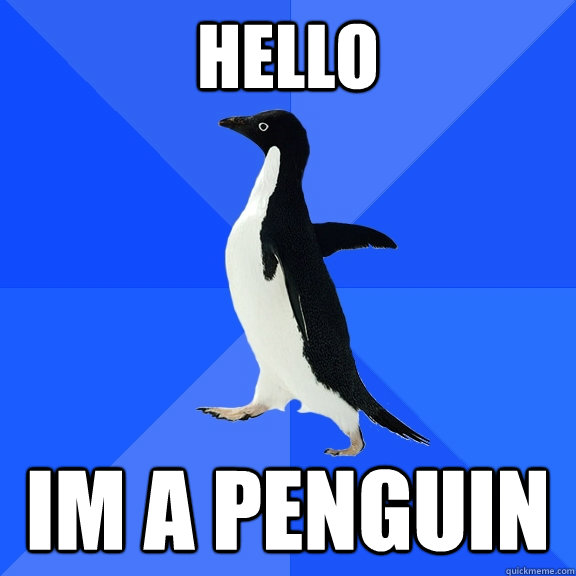 hello im a penguin  Socially Awkward Penguin