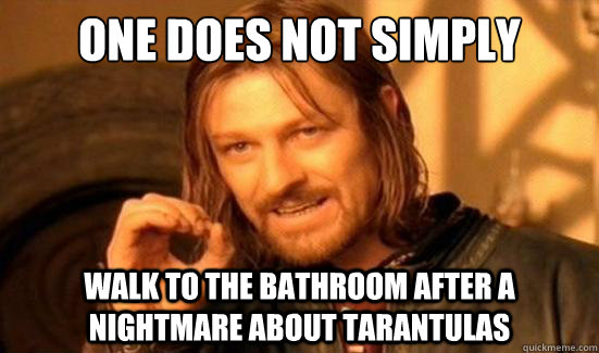 One Does Not Simply walk to the bathroom after a nightmare about tarantulas  Boromir