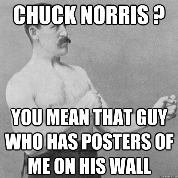 chuck norris ? you mean that guy who has posters of me on his wall  overly manly man