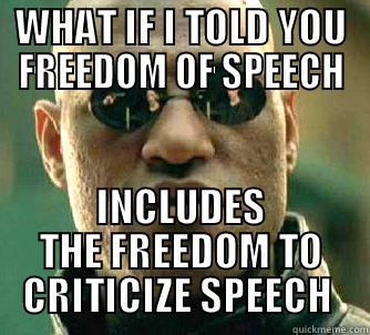 What if I Told You Free Speech - WHAT IF I TOLD YOU FREEDOM OF SPEECH INCLUDES THE FREEDOM TO CRITICIZE SPEECH  Matrix Morpheus