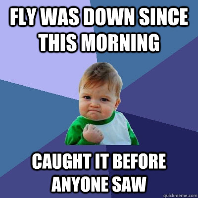 Fly was down since this morning Caught it before anyone saw  Success Kid