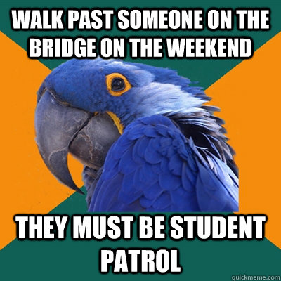 Walk Past someone on the bridge on the weekend They must be student patrol  Paranoid Parrot