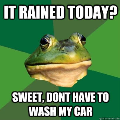 it rained today? sweet, dont have to wash my car  Foul Bachelor Frog