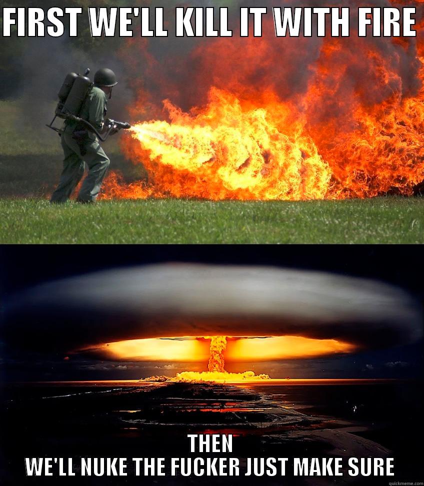 FIRST WE'LL KILL IT WITH FIRE  THEN WE'LL NUKE THE FUCKER JUST MAKE SURE Misc