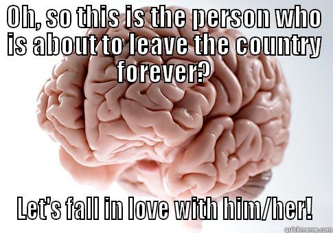 OH, SO THIS IS THE PERSON WHO IS ABOUT TO LEAVE THE COUNTRY FOREVER? LET'S FALL IN LOVE WITH HIM/HER! Scumbag Brain