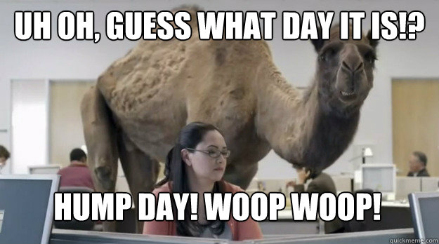 Uh oh, guess what day it is!? hump day! woop woop! - Uh oh, guess what day it is!? hump day! woop woop!  Misc