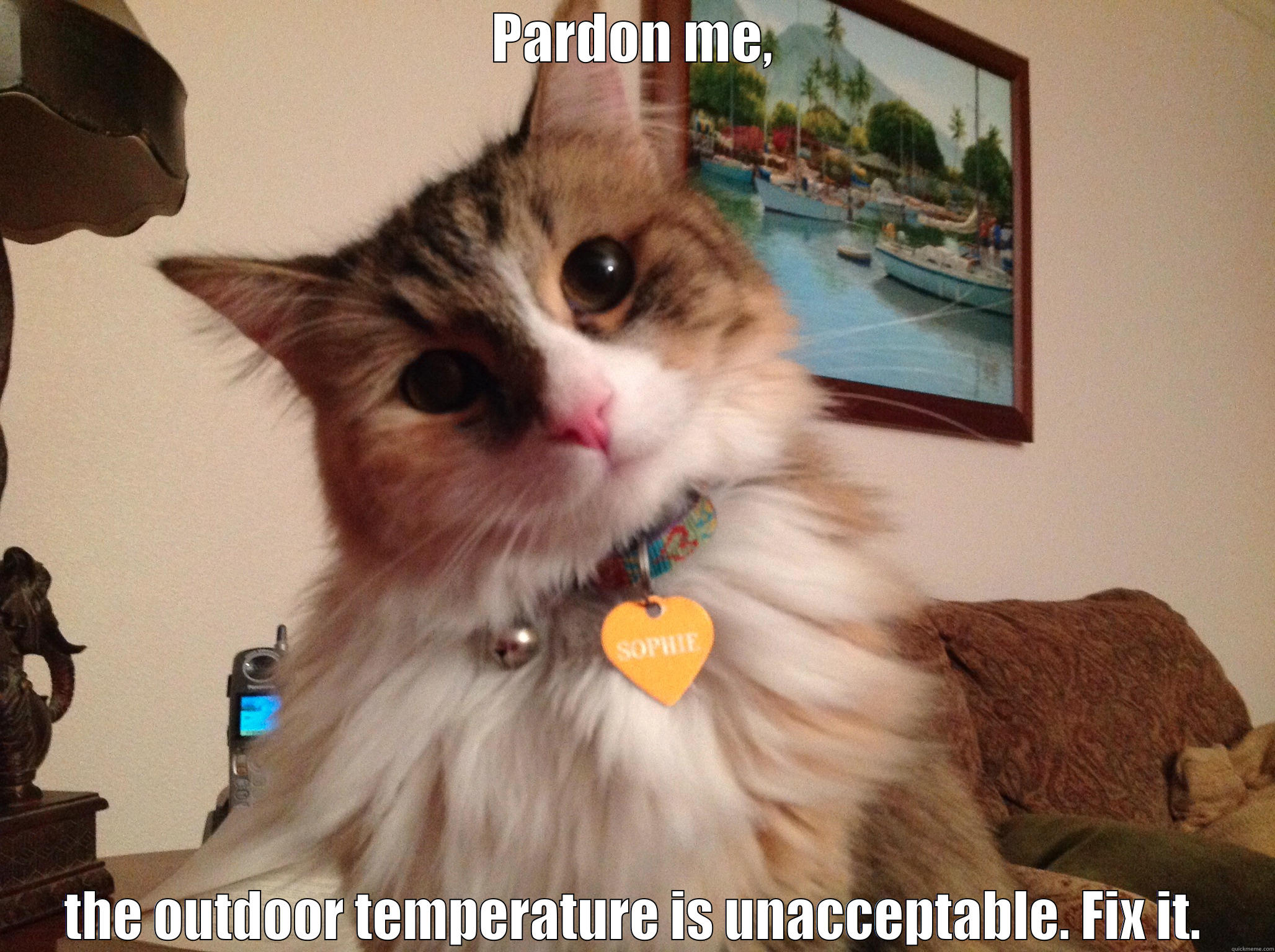 Polite Demanding Cat - PARDON ME, THE OUTDOOR TEMPERATURE IS UNACCEPTABLE. FIX IT. Misc