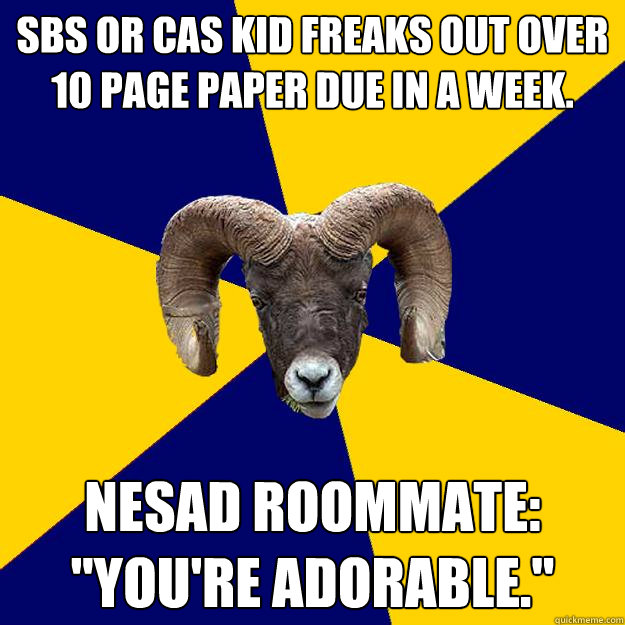SBS or CAS kid freaks out over 10 page paper due in a week. Nesad roommate: 