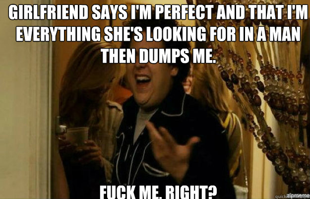 Girlfriend says I'm perfect and that I'm everything she's looking for in a man then dumps me. Fuck me, right?  fuck me right