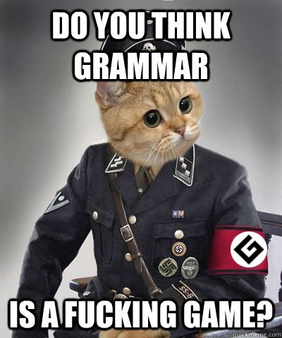 Do you think Grammar Is a Fucking game?  