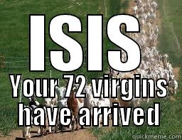 ISIS YOUR 72 VIRGINS HAVE ARRIVED Misc