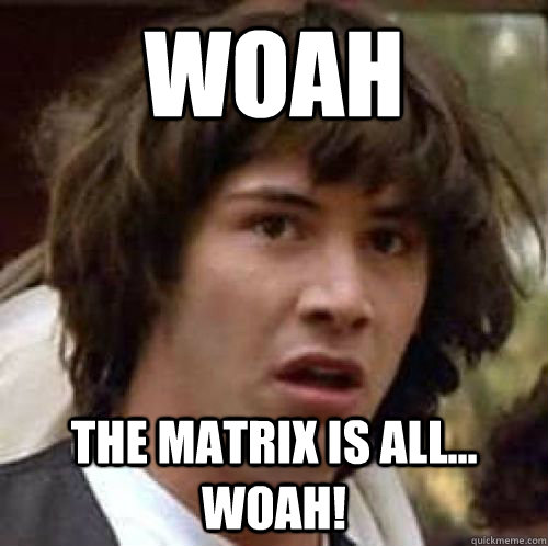 woah the matrix is all... woah!  conspiracy keanu
