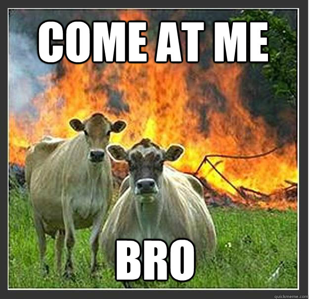 come at me bro  Evil cows