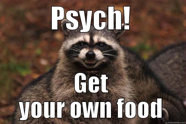 PSYCH! GET YOUR OWN FOOD Evil Plotting Raccoon