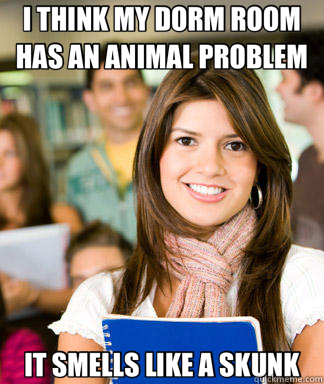 I THINK MY DORM ROOM HAS AN ANIMAL PROBLEM IT SMELLS LIKE A SKUNK - I THINK MY DORM ROOM HAS AN ANIMAL PROBLEM IT SMELLS LIKE A SKUNK  Sheltered College Freshman