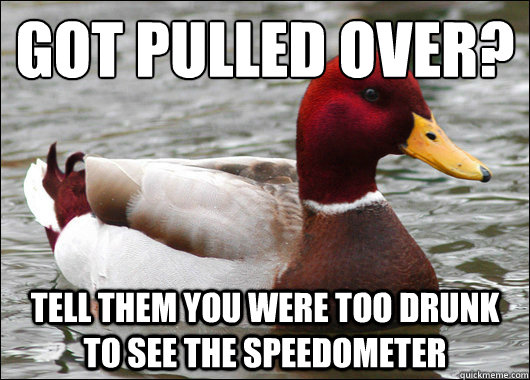 Got pulled over?
 Tell them you were too drunk to see the speedometer  Malicious Advice Mallard