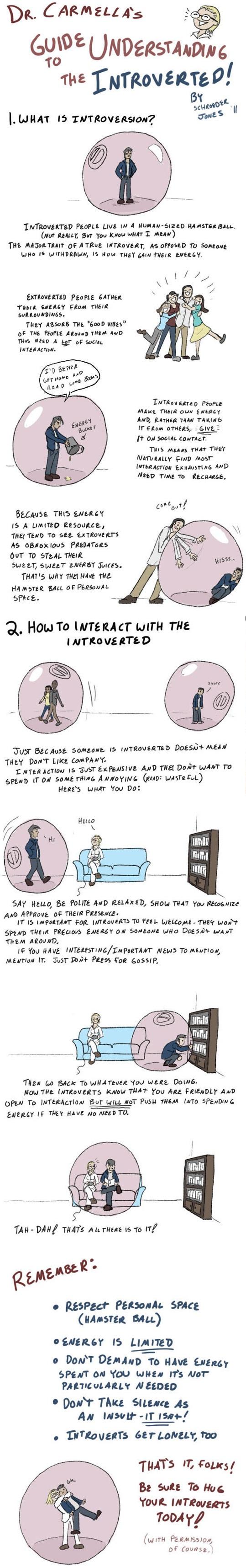 How to interact with the introverted… -   Misc