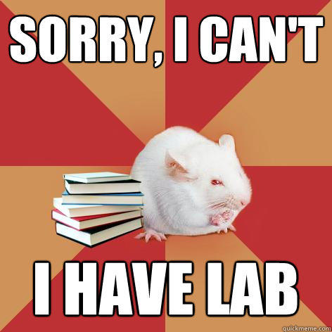 Sorry, I can't i have lab  Science Major Mouse