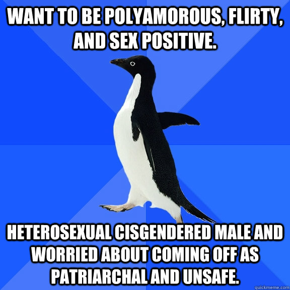 Want to be polyamorous, flirty, and sex positive. Heterosexual cisgendered male and worried about coming off as patriarchal and unsafe.  Socially Awkward Penguin