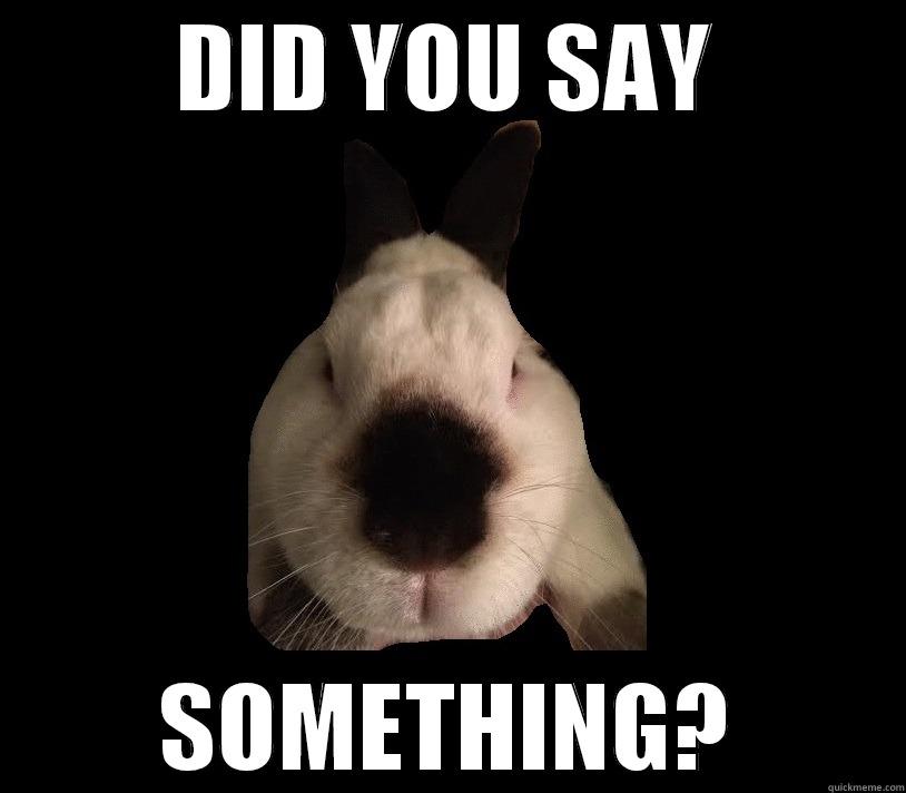 DID YOU SAY SOMETHING? Misc