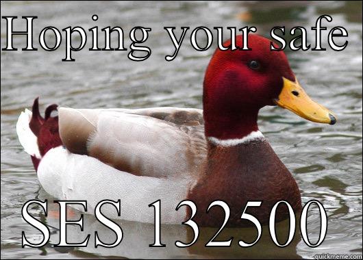 HOPING YOUR SAFE  SES 132500 Malicious Advice Mallard