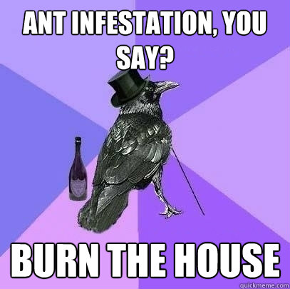 ant infestation, you say? burn the house - ant infestation, you say? burn the house  Rich Raven