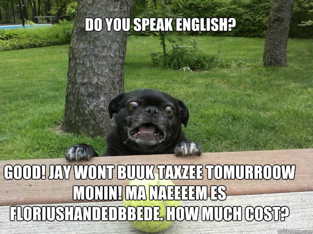 Do you speak english?
 Good! jay wont buuk taxzee tomurroow monin! ma naeeeem es Flöoriushandedbbede. how much cost?  Berks Dog