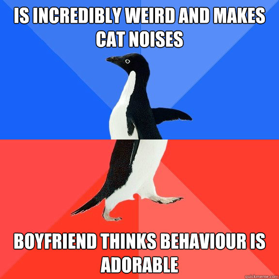 is incredibly weird and makes cat noises boyfriend thinks behaviour is adorable - is incredibly weird and makes cat noises boyfriend thinks behaviour is adorable  Socially Awkward Awesome Penguin