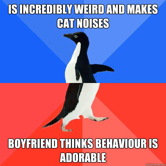 is incredibly weird and makes cat noises boyfriend thinks behaviour is adorable  Socially Awkward Awesome Penguin