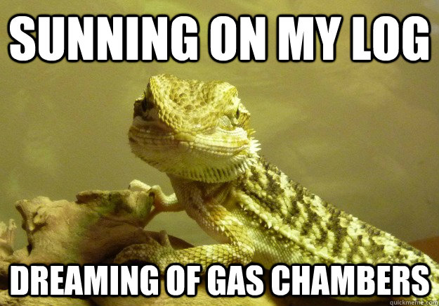 Sunning on my log Dreaming of gas chambers  