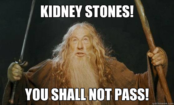 Kidney Stones! You Shall Not Pass!  Gandalf