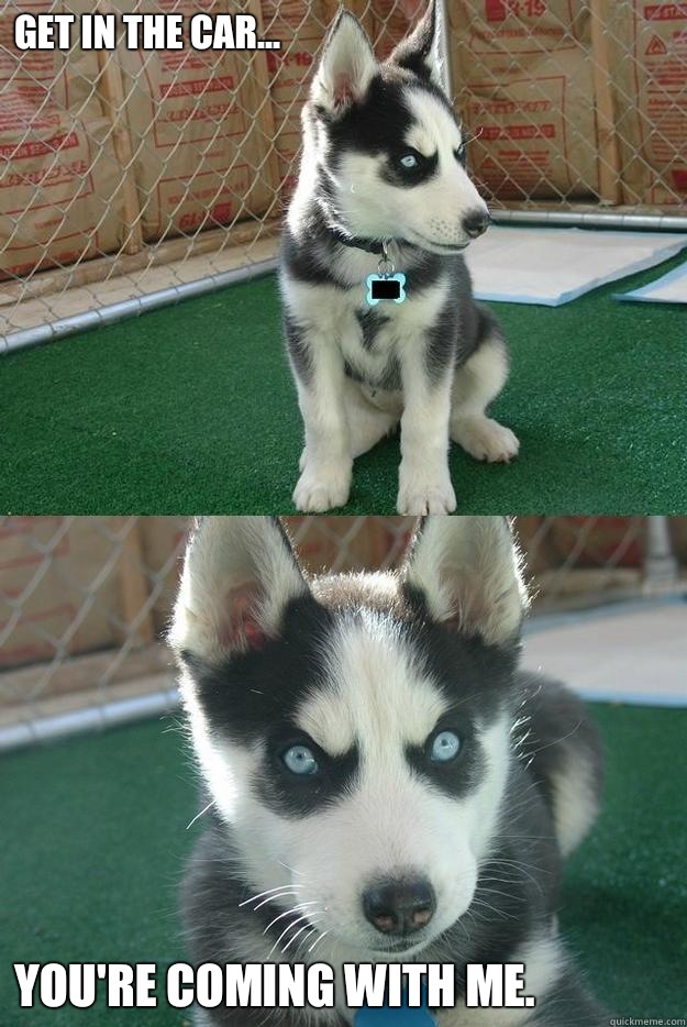 Get in the car... You're coming with me.  Insanity puppy