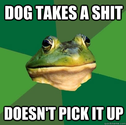 Dog takes a shit doesn't pick it up  Foul Bachelor Frog