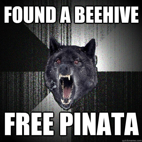 found a beehive free pinata   