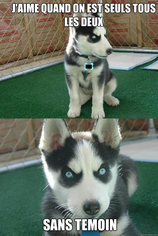 j'aime quand on est seuls tous les deux sans temoin  Insanity puppy