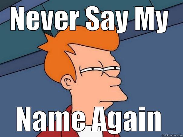 Never say my name - NEVER SAY MY NAME AGAIN Futurama Fry