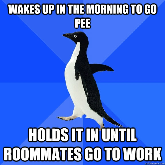 wakes up in the morning to go pee holds it in until roommates go to work  Socially Awkward Penguin