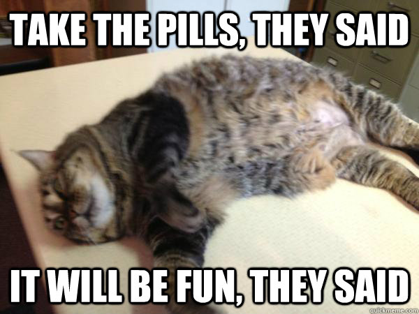TAKE THE PILLS, THEY SAID IT WILL BE FUN, THEY SAID  Psycho Cat
