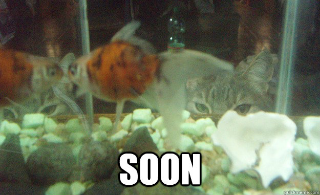  Soon  Soon
