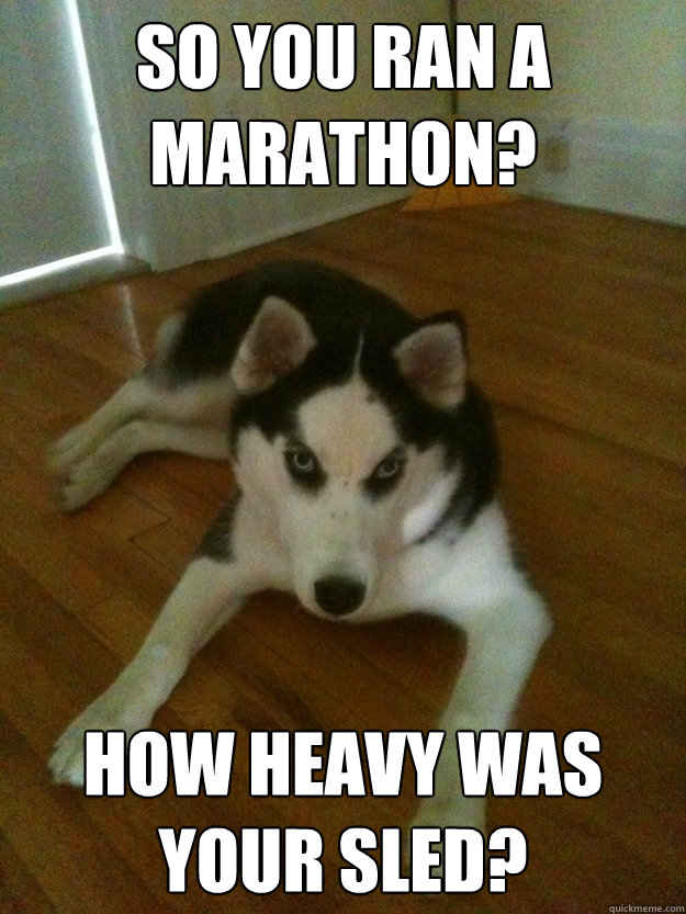 so you ran a marathon? how heavy was your sled?  