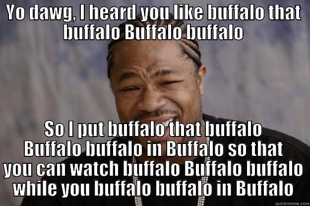 buffalo buffalo - YO DAWG, I HEARD YOU LIKE BUFFALO THAT BUFFALO BUFFALO BUFFALO SO I PUT BUFFALO THAT BUFFALO BUFFALO BUFFALO IN BUFFALO SO THAT YOU CAN WATCH BUFFALO BUFFALO BUFFALO WHILE YOU BUFFALO BUFFALO IN BUFFALO Xzibit meme