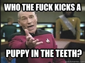 Who the fuck kicks a puppy in the teeth?  Annoyed Picard