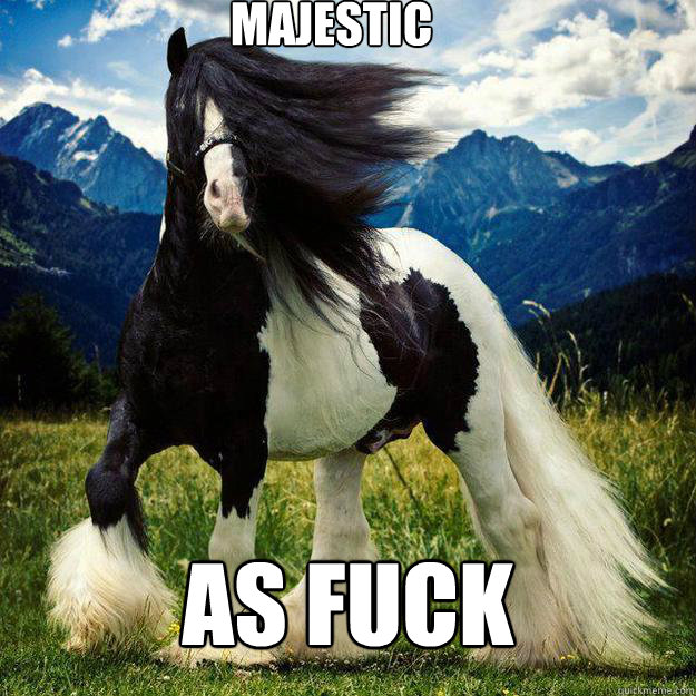 MAJESTIC AS FUCK - MAJESTIC AS FUCK  majestic fucking horse