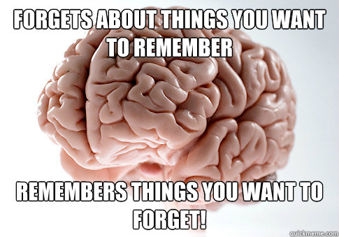 Forgets about things you want to remember Remembers things you want to forget!  Scumbag Brain