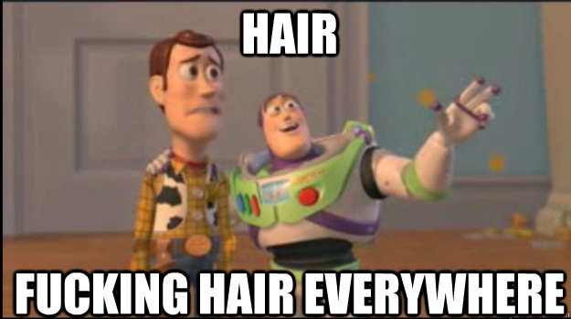 Hair Fucking hair everywhere - Hair Fucking hair everywhere  Buzz and Woody