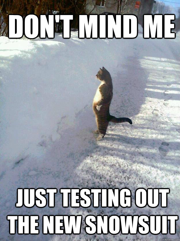 don't mind me Just testing out the new snowsuit  CatSnowbank