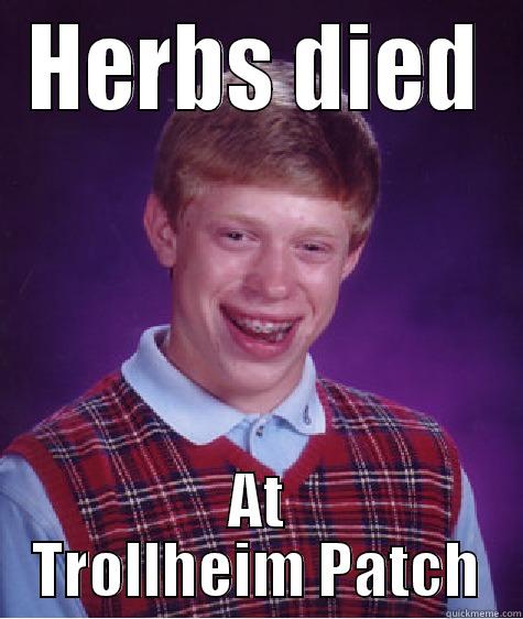 HERBS DIED AT TROLLHEIM PATCH Bad Luck Brian